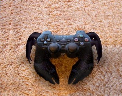 Gizmo Animals (8).jpg (38 KB)